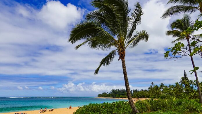 Harbor pilot falls from boat near Emerald Princess cruise in Kauai in 'man overboard' alert
