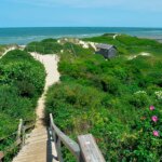 Nantucket cocaine levels found to be above national average in wastewater data Nantucket cocaine levels found to be above national average in wastewater data