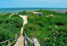 Nantucket cocaine levels found to be above national average in wastewater data Nantucket cocaine levels found to be above national average in wastewater data