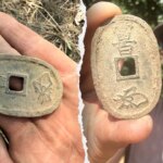 Treasure hunter uncovers 19th-century Japanese bronze coin near Ballarat Treasure hunter uncovers 19th-century Japanese bronze coin near Ballarat