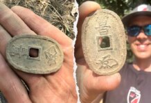 Treasure hunter uncovers 19th-century Japanese bronze coin near Ballarat Treasure hunter uncovers 19th-century Japanese bronze coin near Ballarat