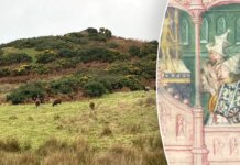 Archaeologist says he’s discovered potential Viking ruler gravesite in England Archaeologist says he's discovered potential Viking ruler gravesite in England