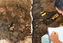 Archaeologists discover gold-laden burial in Panama from 1,000 years ago Archaeologists discover gold-laden burial in Panama from 1,000 years ago