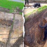 Archaeologists uncover 2,000-year-old temple at Denmark Iron Age settlement Archaeologists uncover 2,000-year-old temple at Denmark Iron Age settlement