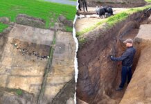 Archaeologists uncover 2,000-year-old temple at Denmark Iron Age settlement Archaeologists uncover 2,000-year-old temple at Denmark Iron Age settlement