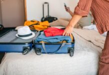 Bed bugs surge in southern states as spring break travelers warned Bed bugs surge in southern states as spring break travelers warned
