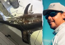 Florida Keys captain lands 480-pound swordfish with Pennsylvania family Florida Keys captain lands 480-pound swordfish with Pennsylvania family