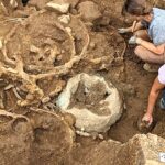 Iron Age wagon remnants unearthed in Yorkshire may be first ever in Britain Iron Age wagon remnants unearthed in Yorkshire may be first ever in Britain