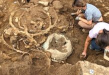 Iron Age wagon remnants unearthed in Yorkshire may be first ever in Britain Iron Age wagon remnants unearthed in Yorkshire may be first ever in Britain