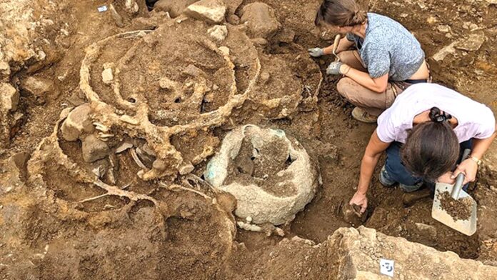 Iron Age wagon remnants unearthed in Yorkshire may be first ever in Britain