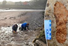 Scotland dog walkers discover 2,000-year-old footprints on Lunan Bay beach Scotland dog walkers discover 2,000-year-old footprints on Lunan Bay beach