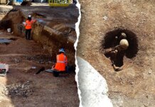 Ancient skeletons in ‘seated’ position unearthed beneath school in Dijon, France Ancient skeletons in 'seated' position unearthed beneath school in Dijon, France