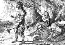 New study finds that dogs lived alongside humans up to 16,000 years ago New study finds that dogs lived alongside humans up to 16,000 years ago