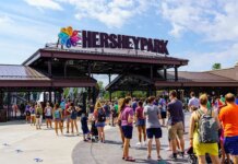 Parents charged after ‘unsupervised’ child crawls toward wolves and is injured Parents charged after 'unsupervised' child crawls toward wolves and is injured