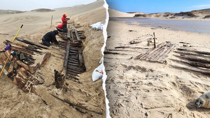 Parks Canada finds 1812 shipwreck believed to be the Swift at Sable Island