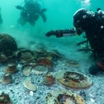 Well-preserved 2,000-year-old Roman shipwreck found at bottom of Swiss lake Well-preserved 2,000-year-old Roman shipwreck found at bottom of Swiss lake