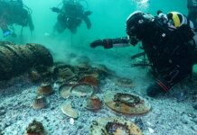 Well-preserved 2,000-year-old Roman shipwreck found at bottom of Swiss lake Well-preserved 2,000-year-old Roman shipwreck found at bottom of Swiss lake